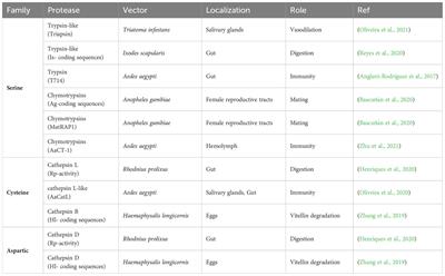 The biotechnological potential of proteases from hematophagous arthropod vectors